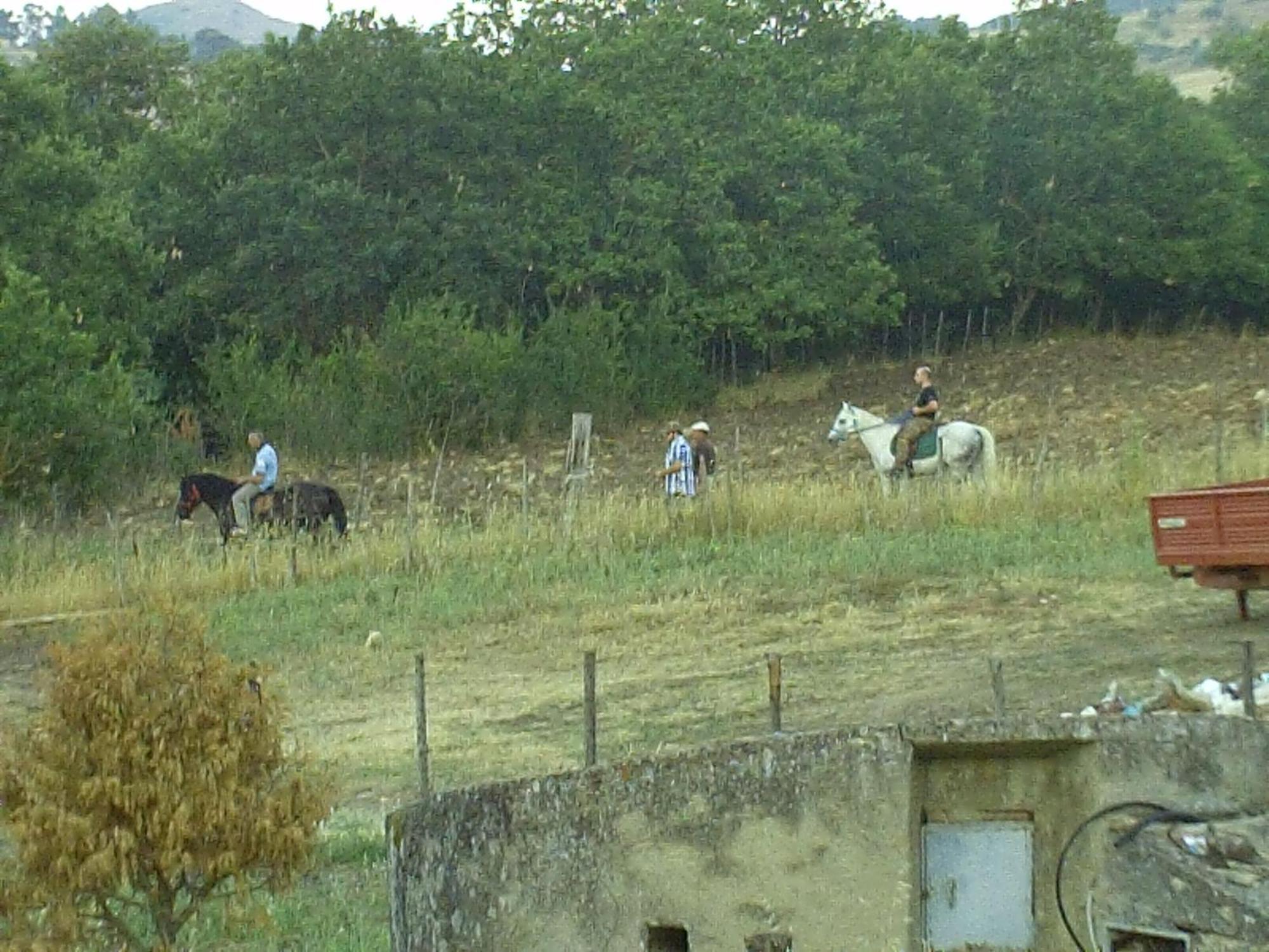 Agriturismo San Pietro 간지 외부 사진