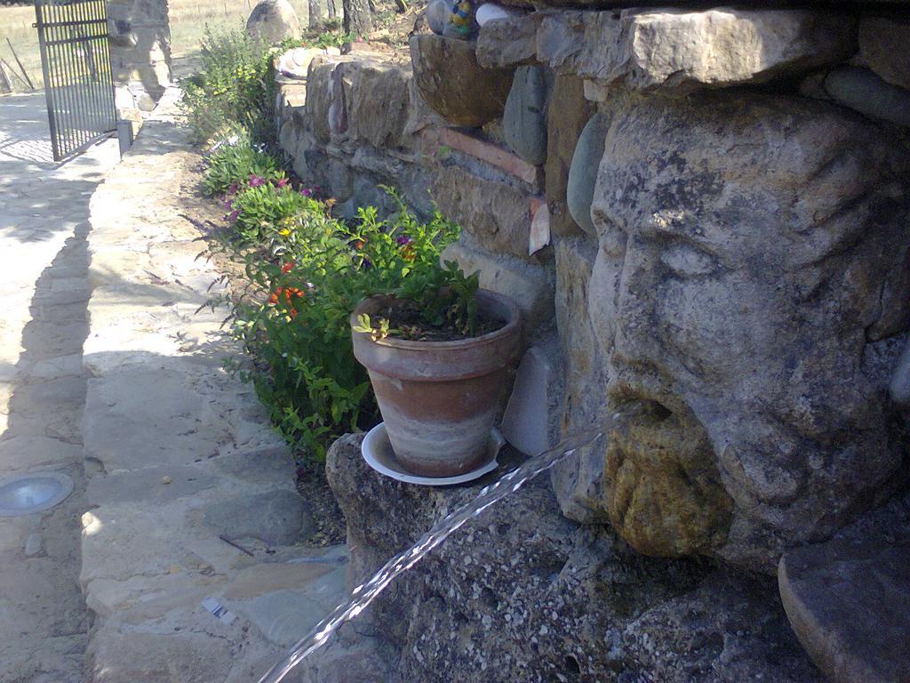 Agriturismo San Pietro 간지 외부 사진