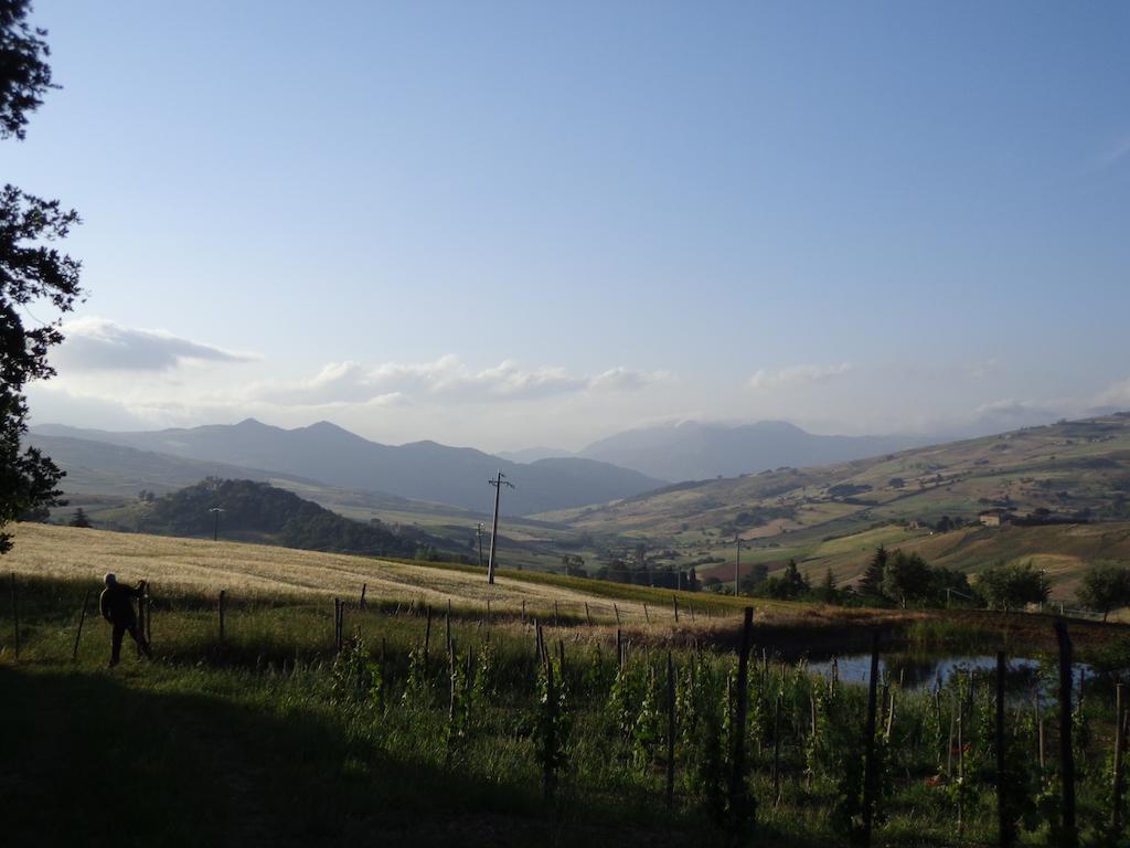 Agriturismo San Pietro 간지 외부 사진