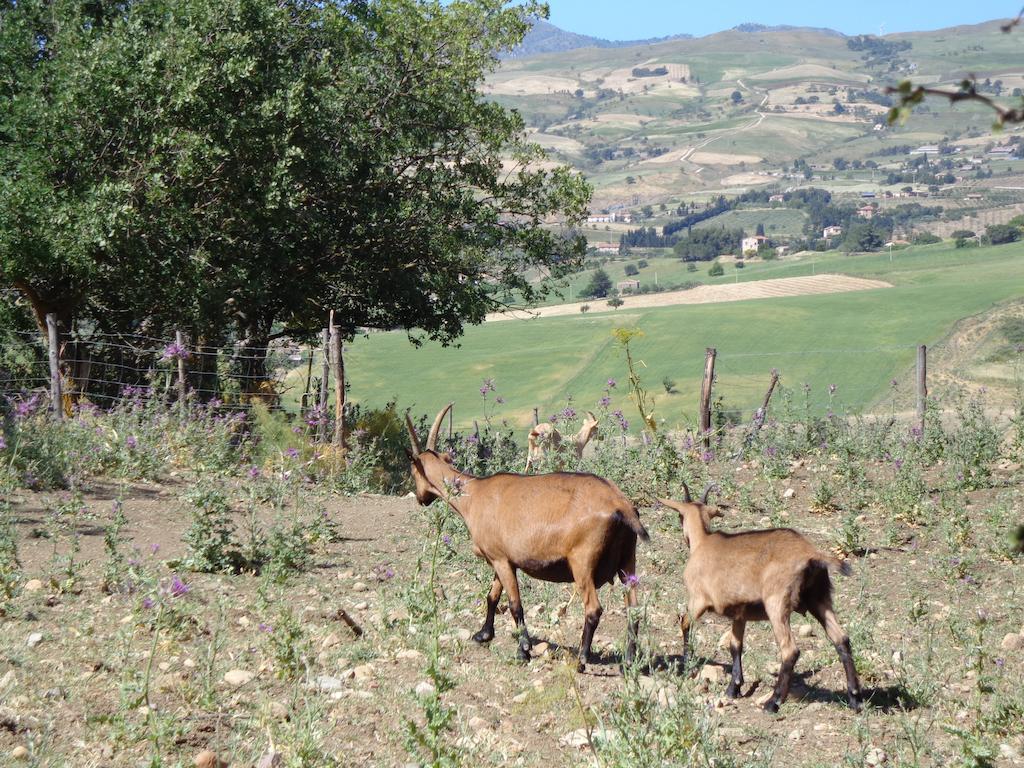 Agriturismo San Pietro 간지 외부 사진
